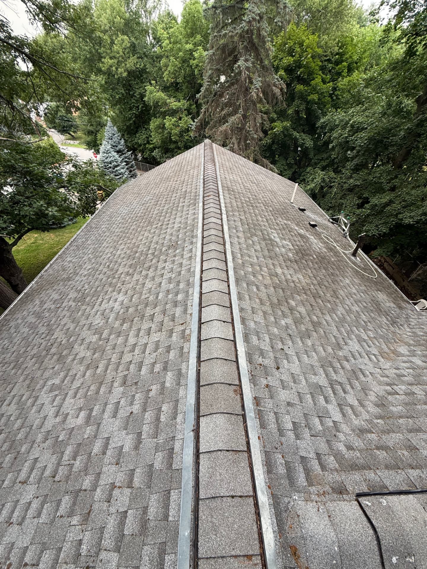 Freshly cleaned residential asphalt roof surrounded by mature trees
